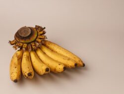 11 Manfaat Ajaib Pisang Ambon: Sumber Gizi Optimal untuk Kesehatan Tubuh