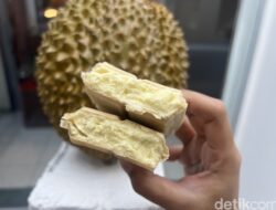 ATM Durian: Sensasi Baru, Nikmati Sandwich dan Dessert Monthong Segar