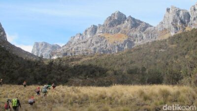 Ekspedisi Puncak Carstensz: Tujuh Hari Perjuangan di Suhu Beku Minus 10 Derajat