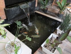 Keberuntungan dan Kemakmuran: Rahasia Feng Shui Kolam Ikan Depan Rumah