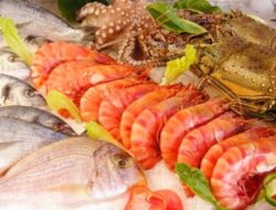 Nikmati Kelezatan Seafood Tanpa Takut Kolesterol Membengkak