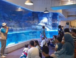 Petualangan Bawah Laut Jakarta Aquarium: Ngabuburit Hingga Buka Puasa Romantis