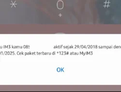 Rahasia Mengetahui Usia Kartu IM3: Cukup Ketik Kode Rahasia Ini