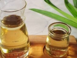 Rahasia Simple Syrup Manis Sempurna: Nikmati Buka Puasa Lebih Segar