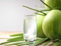 Tujuh Manfaat Air Kelapa Muda yang Tak Terduga untuk Kesehatan Pria